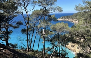 Randonnée - Le sentier du littoral de Bandol à Saint-Cyr - Sortie 1