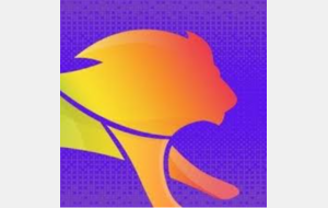 TIGALY 2027 – Lyon 🦁🏳️‍🌈