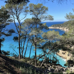 Randonnée - Le sentier du littoral de Bandol à Saint-Cyr - Sortie 2